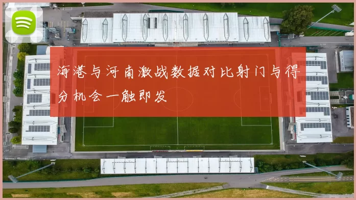 海港与河南激战数据对比射门与得分机会一触即发